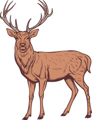 Naklejka na ściany i meble Deer clipart design illustration