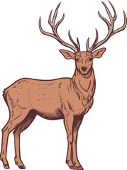 Deer clipart design illustration