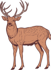 Deer clipart design illustration