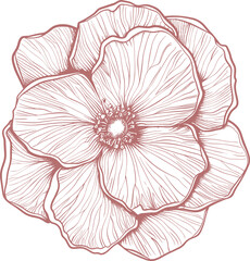 Desert rose clipart design illustration