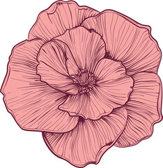 Desert rose clipart design illustration