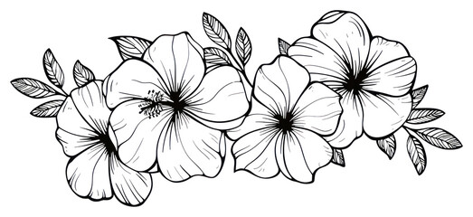 PNG Divider doodle of tropical flower pattern drawing sketch