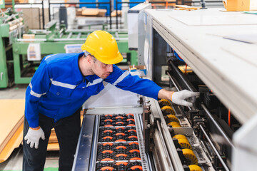 Industrial Excellence: Engineers and Technicians Ensure Safety and Efficiency in Factory Work,...