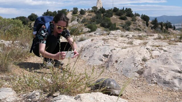 Female tourist takes picture via smartphone of a turtle crawling on Philopappos hill in Athens