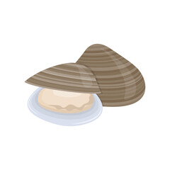 Fresh seafood ingredient clams cartoon vector isolated illustration