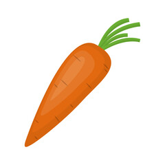 Fresh nature vegetable carrot cartoon vector isolated illustration