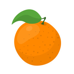 Fresh fruit citrus orange cartoon vector isolated illustration