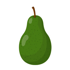 Fresh fruit avocado cartoon vector isolated illustration - 785924523