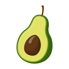 Fresh fruit half cutted avocado cartoon vector isolated illustration - 785924572