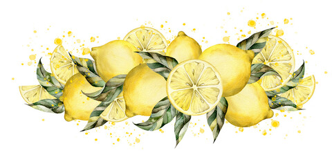 Hand-drawn watercolor illustration with lemon on a branch with leaves