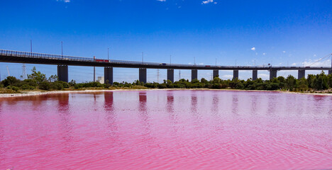 bridge over the pink lake