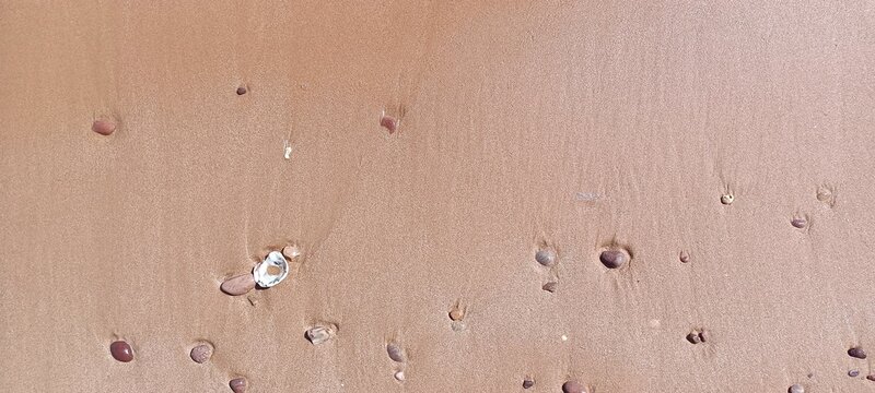 Beach background during daytime