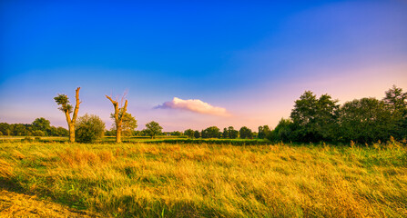 One last cloud remaining in the sky above rural Noord-Brabant near the village of Aarle-Rixtel, The Netherlands.