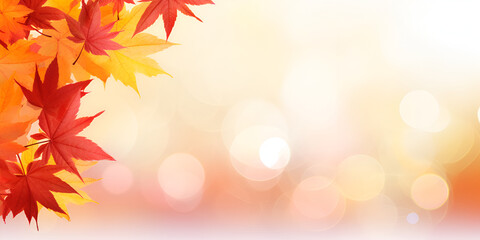 Naklejka na ściany i meble Autumn season maple leaves with soft focus light and bokeh background 