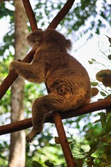 Port Douglas, Queensland, Australia