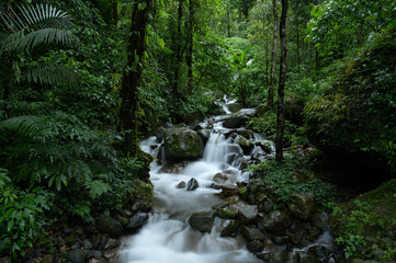 Obraz premium Meghalaya's Monsoon Magic: Living Bridges, Milky Way, Waterfalls, Flora and Fauna