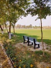 wooden bench in sunny spring park, beautiful urban summer park in sunlight