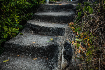 Old ancient stone stairs in nature. Steps among green grass, plants outdoors.