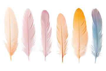 Set of multi-colored feather isolated on transparent background.