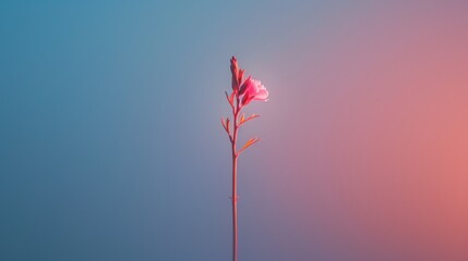 A single, long stem with a single perfect bloom at the end, reaching towards the light. Minimalist background with clean lines.