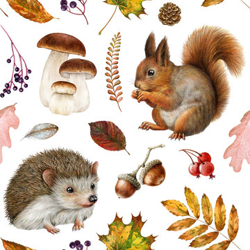 Autumn forest animals, natural elements seamless pattern. Watercolor illustration. Hand drawn squirrel, hedgehog, mushrooms, autumn fallen leaves elements. Warm colors seamless pattern decor