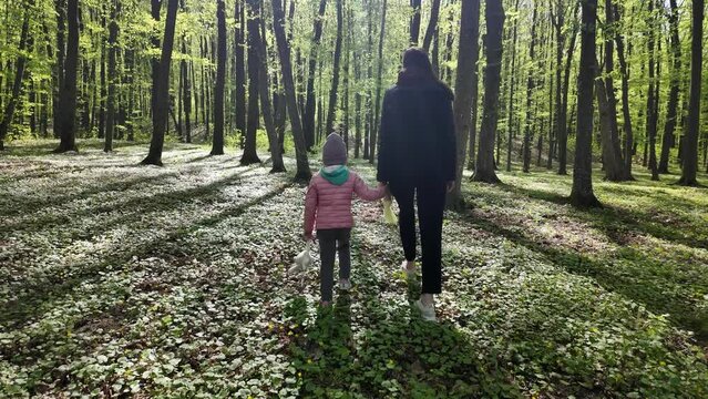 Mother walking in the spring forest with her kids
