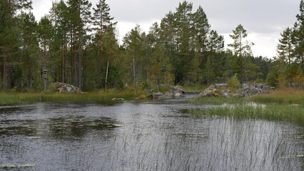 Schwedensee