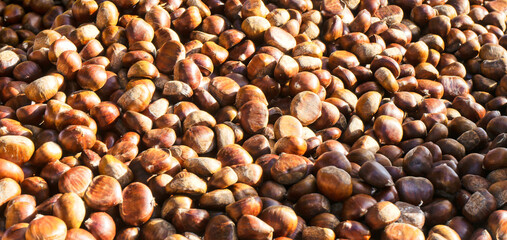Numerous glossy chestnuts in warm brown hues, capturing the essence of the fall harvest displayed for sale at a local outdoor market in Italy