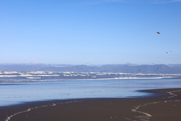 Sehr breiter Sandstrand in Neuseeland auf der Südinsel mit blick aufs Wasser und Spuren von Autos im Sand