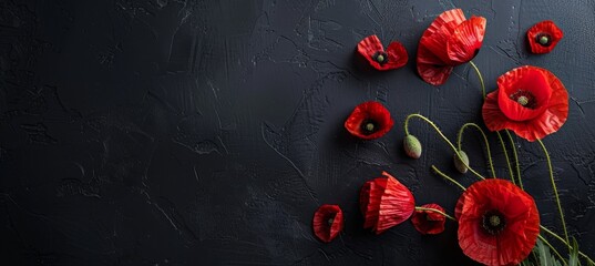 Symbolic red poppies on dark background  remembrance day, armistice day, anzac day tribute - obrazy, fototapety, plakaty
