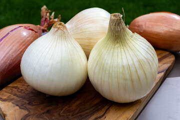 White sweet doux french salad and purple shallots onions vegetables on food market close up