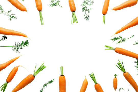 baby carrots cook
.isolated on white background