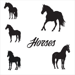 Horse black silhouette 
