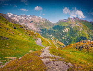 Sunny summer view of Grimselpass - mountain path among green meado. Stunning morning landscape of...