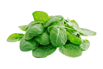 Pile of fresh green baby spinach leaves
.isolated on white background