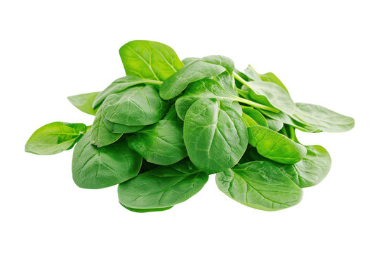 Pile of fresh green baby spinach leaves
.isolated on white background