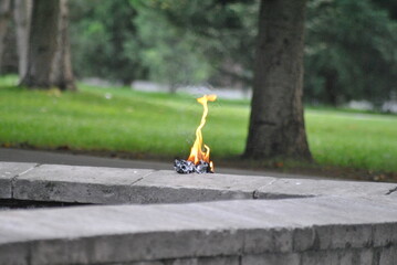 burning candle in the park