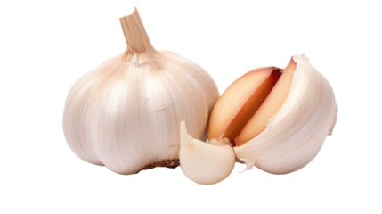 A whole fresh garlic head and clove segment isolated against a white background