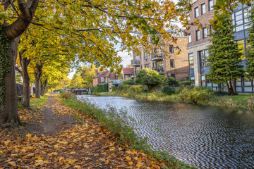 Dublin, Ireland - November 6 2023 'Dublin's streets during the late autumn