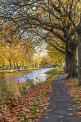 Dublin, Ireland - November 6 2023 'Dublin's streets during the late autumn