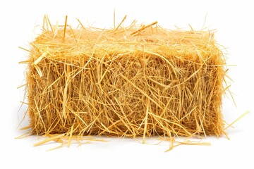 A single compressed bale of golden hay, presenting a concept of agriculture and livestock feed.