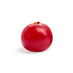 One fresh ripe cranberry isolated on white