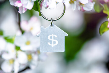 Symbol of the house on the branches of a flowering apple tree