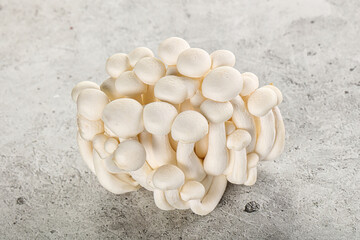 Japanese Shimeji mushroom for cooking