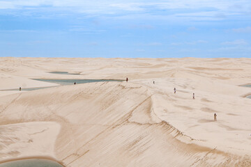 sand dunes in the desert