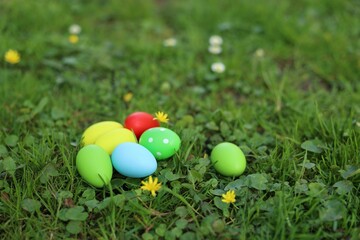 Fototapeta na wymiar Easter celebration. Painted eggs on green grass