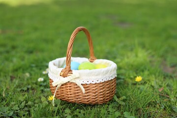 Fototapeta na wymiar Easter celebration. Painted eggs in wicker basket on green grass