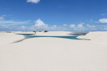 landscape with white sand dunes