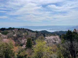 山桜咲く春の山と琵琶湖