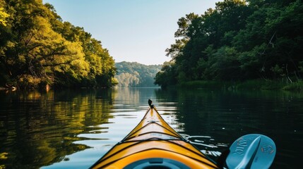 A kayak paddling through calm waters surrounded by nature. 